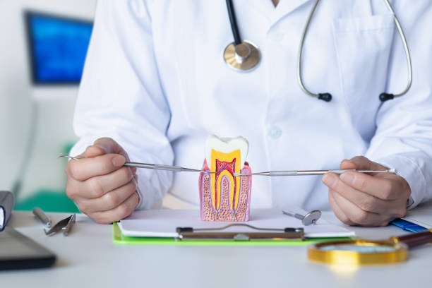 , AR Emergency Dentist Company